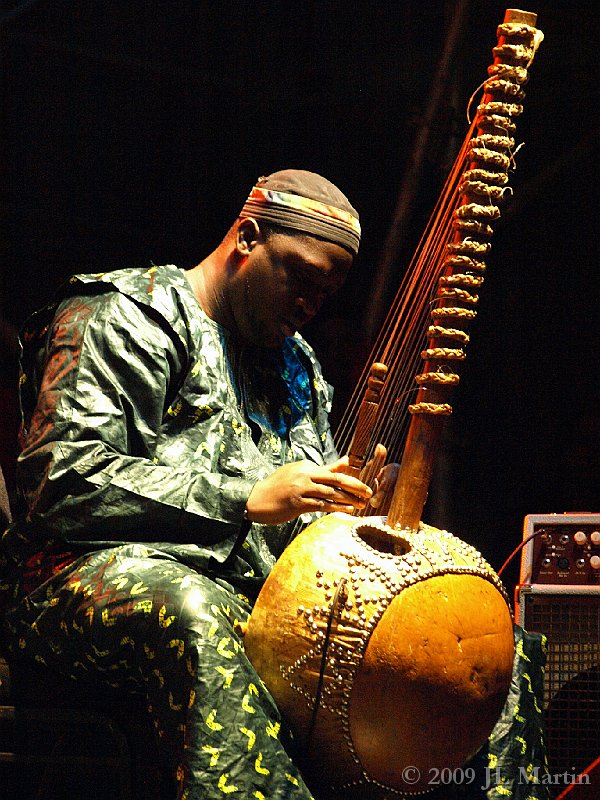 017Luminato_Mamadou Diabate.JPG